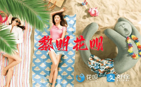 不谋而合花呗